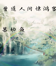 曾道人间惊鸿客