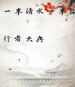 一半清水一半盐