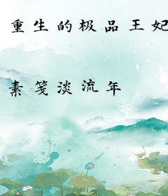 重生的极品王妃