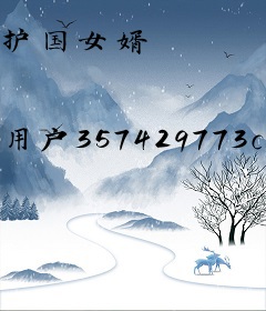 护国女婿