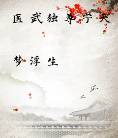 医武独尊宁天