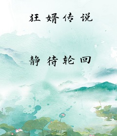 狂婿传说