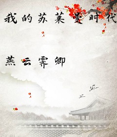 我的苏莱曼时代