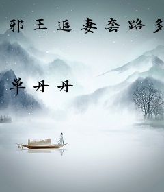 邪王追妻套路多