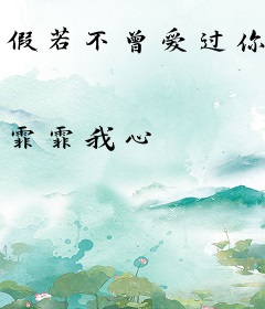 假若不曾爱过你