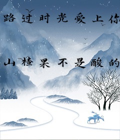 路过时光爱上你
