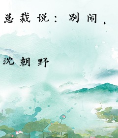 总裁说：别闹，乖
