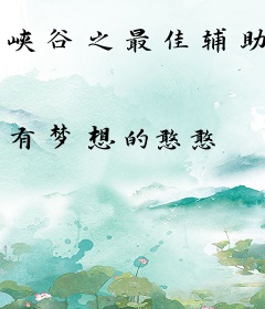 峡谷之最佳辅助