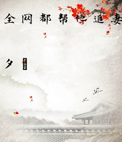 全网都帮他追妻