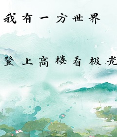 我有一方世界