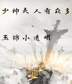 少帅夫人有众多马甲