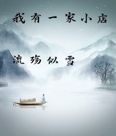 我有一家小店