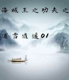 海贼王之功夫之王