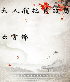夫人我把民政局搬来了