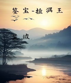 鉴宝-捡漏王