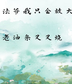 法爷我只会放大