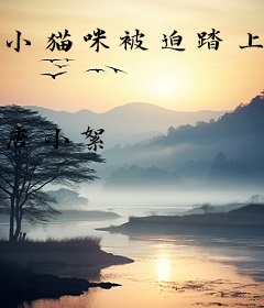 小猫咪被迫踏上修仙之路