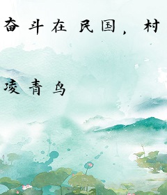 奋斗在民国，村姑上位记