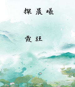 探晨曦
