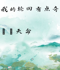 我的轮回有点奇怪