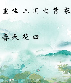 重生三国之曹家逆子