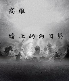 高维