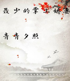 聂少的掌上娇妻