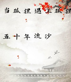 当狐狸遇上狐狸