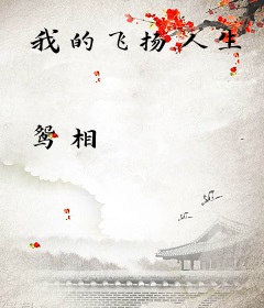 我的飞扬人生