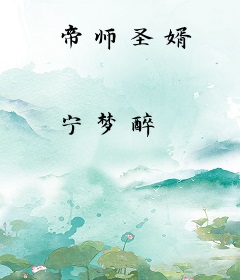 帝师圣婿