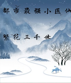都市最强小医仙