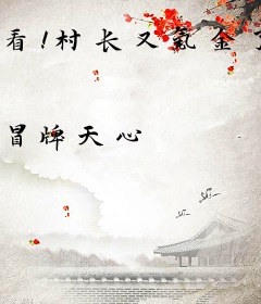 看！村长又氪金了