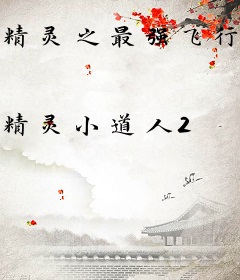 精灵之最强飞行系训练家