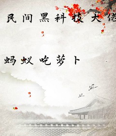 民间黑科技大佬