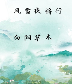 风雪夜将行