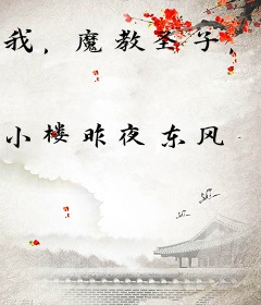 我，魔教圣子，人品超正