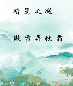 暗翼之城