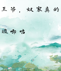王爷，奴家真的是穿越来的！