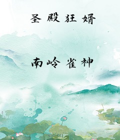 圣殿狂婿