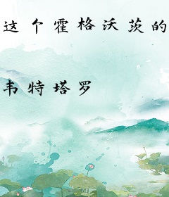 这个霍格沃茨的巫师实在太稳健了