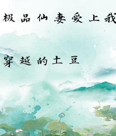 极品仙妻爱上我