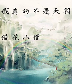 我真的不是天符师
