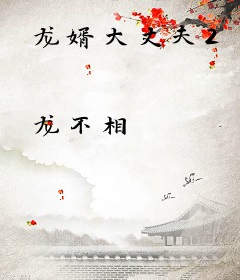 龙婿大丈夫2