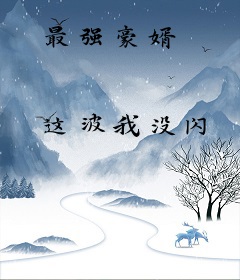 最强豪婿