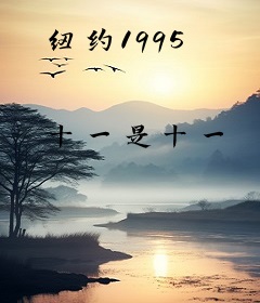 纽约1995