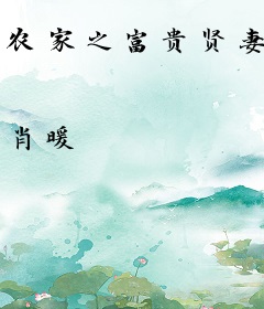 农家之富贵贤妻