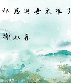 祁总追妻太难了