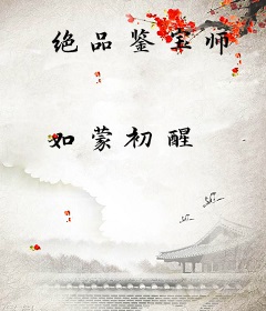 绝品鉴宝师