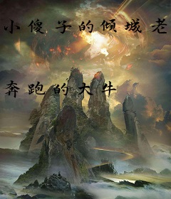 小傻子的倾城老婆