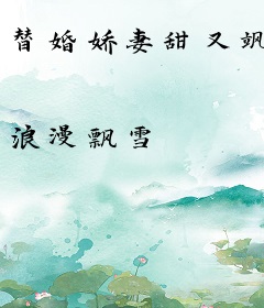 替婚娇妻甜又飒